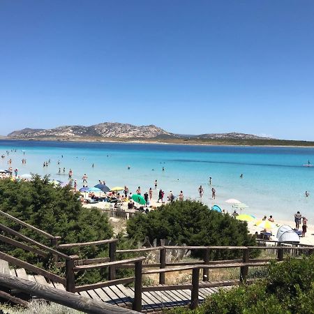 La Mansardina Daire Porto Torres Dış mekan fotoğraf